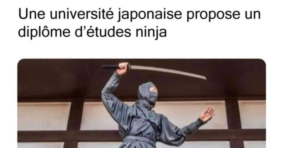 L'élève ninja modèle