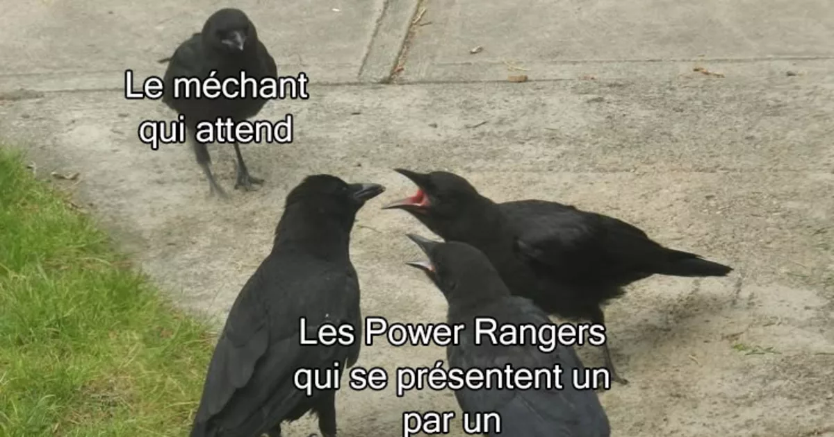 Mon combat quotidien